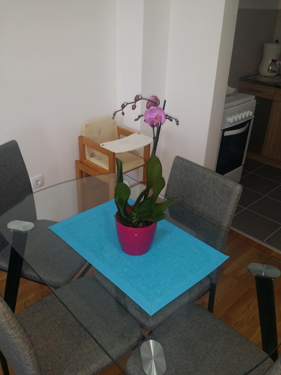 Apartment Jelena Zrenjanin Bagian luar foto