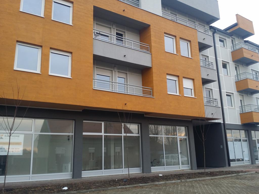 Apartment Jelena Zrenjanin Bagian luar foto