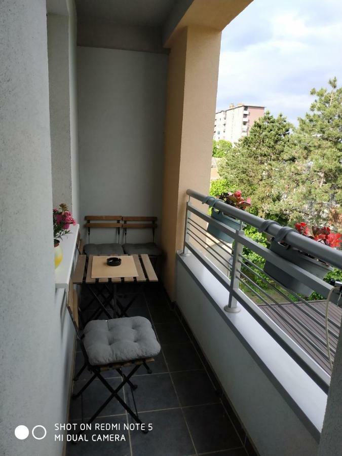 Apartment Jelena Zrenjanin Bagian luar foto